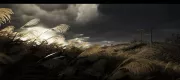 Image : Ghost of Tsushima Director's Cut PS5