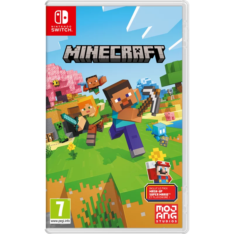 Image : Minecraft Nintendo Switch