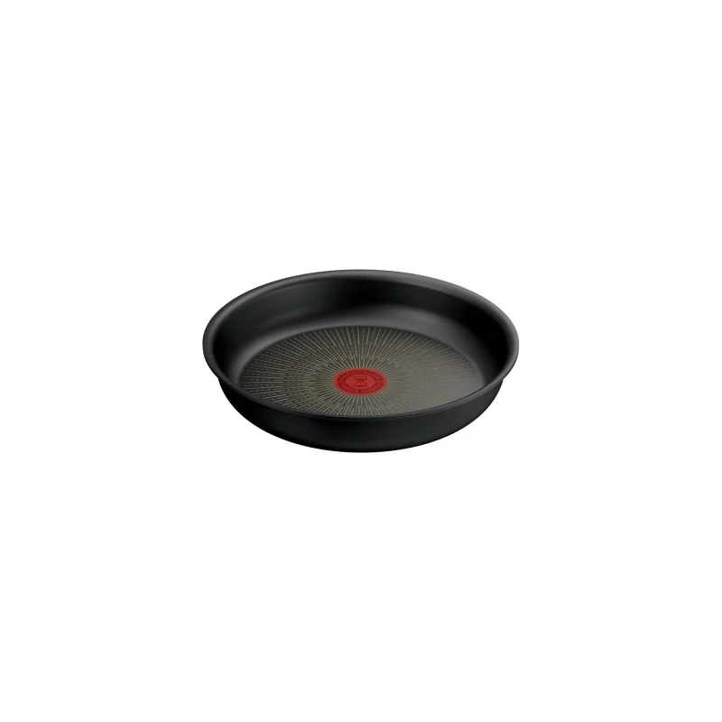 Image : Poele TEFAL Ingenio Eco Resist 24 cm
