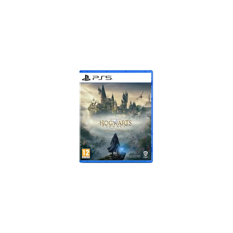Image : Hogwarts Legacy L'Heritage de Poudlard PS5
