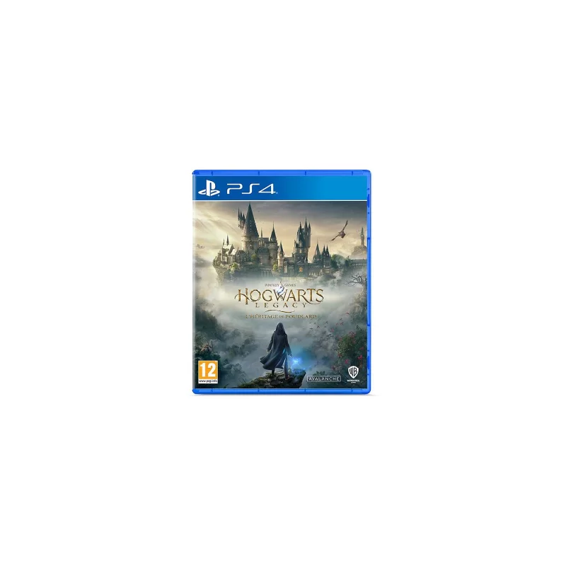 Image : Hogwarts Legacy L'Heritage de Poudlard PS4
