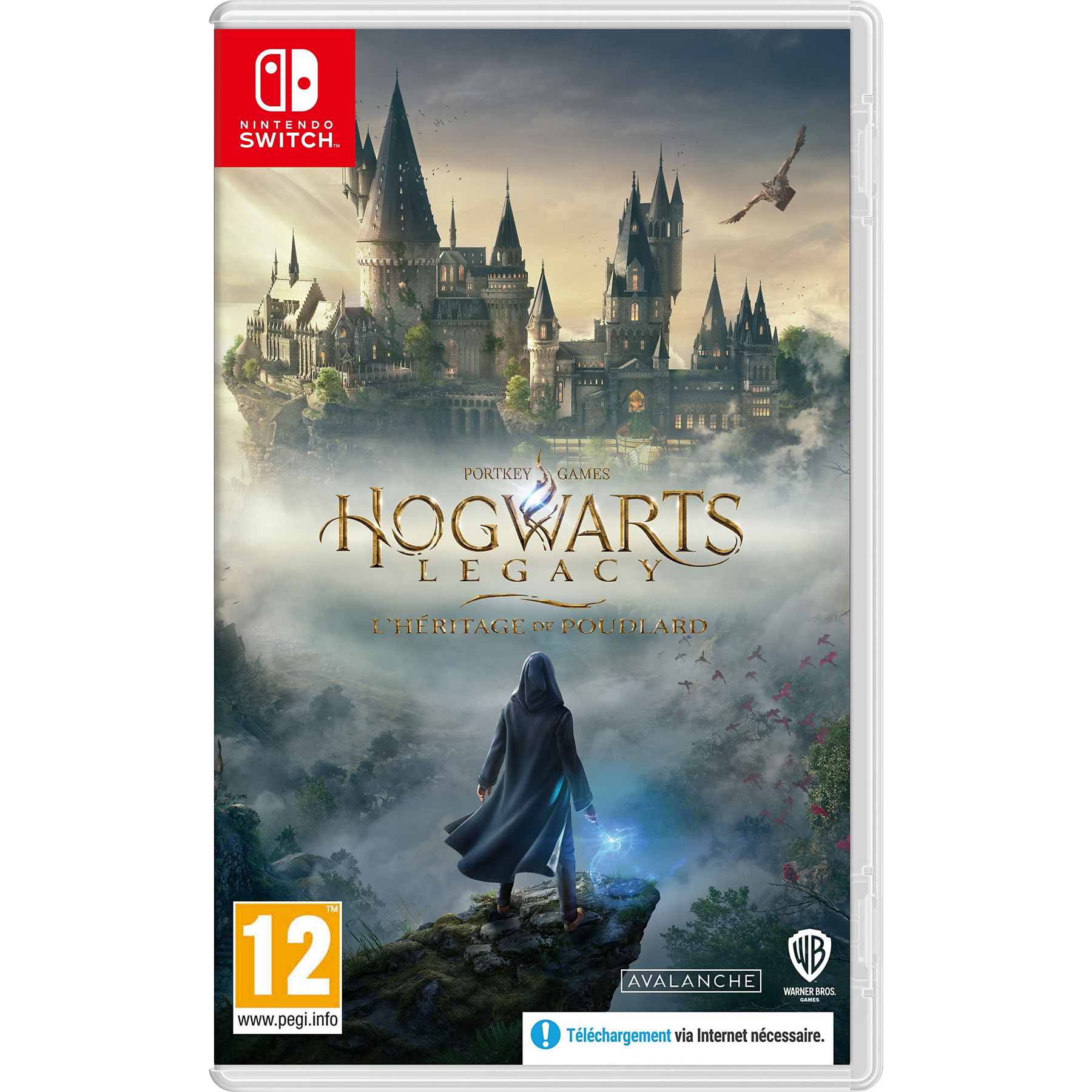 Image : Hogwarts Legacy: L'Heritage de Poudlard Nintendo Switch