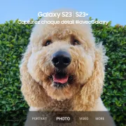 Image : Samsung Galaxy S23 5G 8 Go 128 Go Noir SM-S911BZKDEUB
