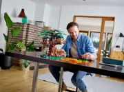 Image : LEGO Ideas 21318 La cabane dans l'arbre