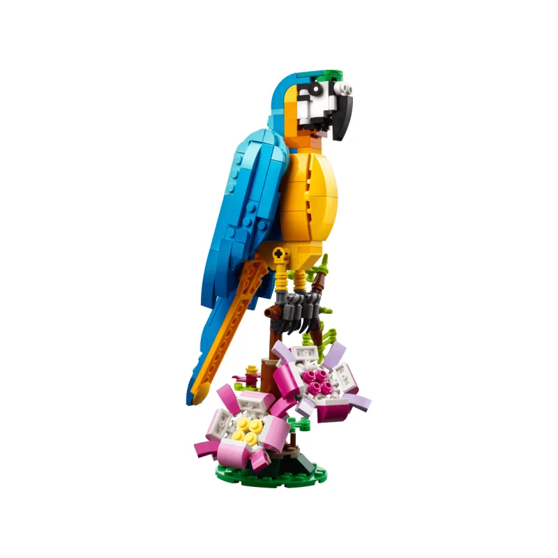 Image : LEGO 31136 Creator 3-en-1 Le Perroquet Exotique