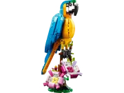 LEGO 31136 Creator 3-en-1 Le Perroquet Exotique