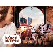 Parcs d'attraction moins cher avec Carrefour : 50€ de remise