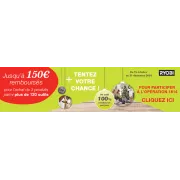 Remboursement Ryobi + jeu : gagnez jusqu'à 150€ et tentez votre chance !