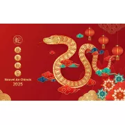 10€ offerts chez Rakuten : découvrez vite cette offre exclusive !