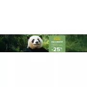 Séjour ZooParc de Beauval + hôtel à prix mini : l’offre choc signée Carrefour Voyages
