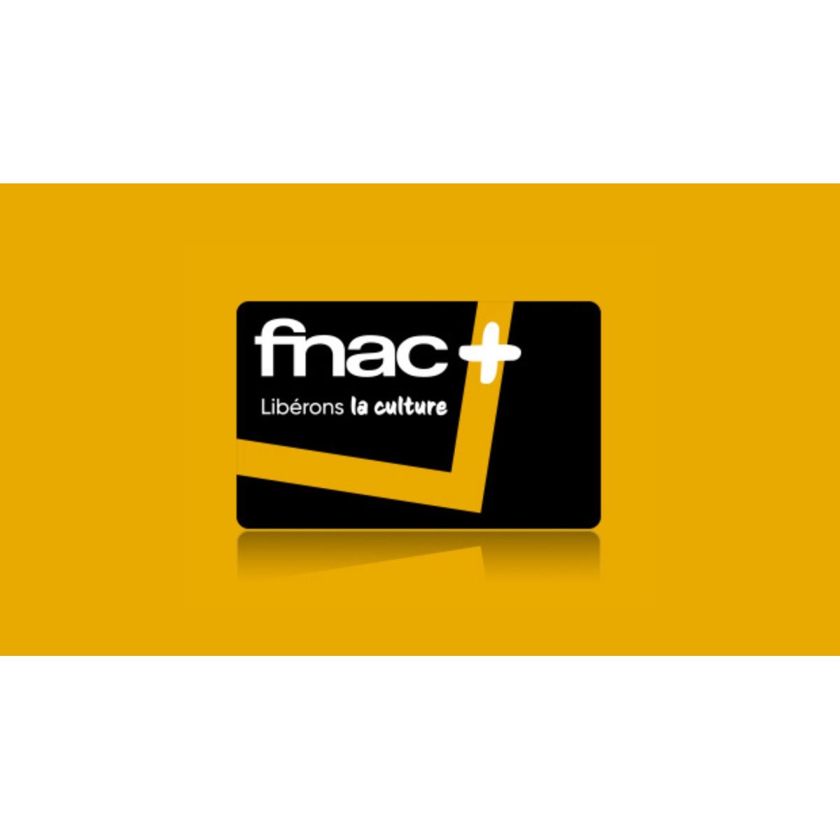 Découvrez la Carte Adhérents Fnac à 14,99 € pour 3 ans : livraison gratuite et réductions